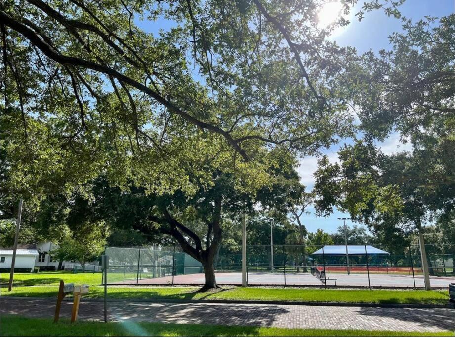 In The Center Of Gulfport, Min Away From The Beach! St. Petersburg Luaran gambar